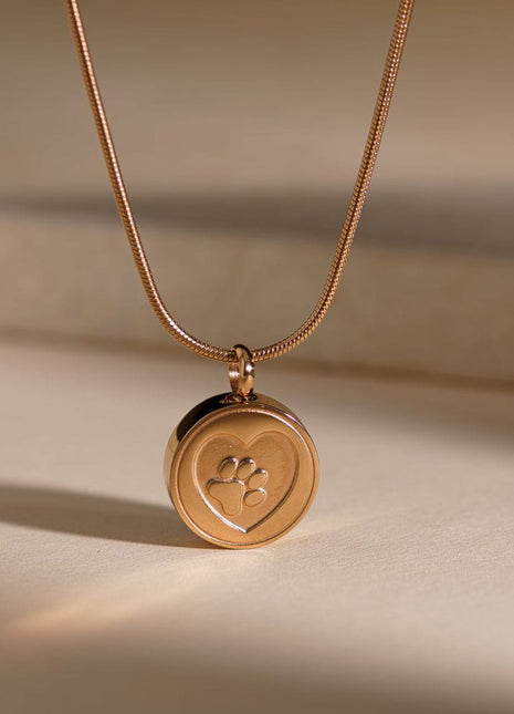Pet Cremation Necklace – Paw | Stainless Steel | Memorial Jewelry | Brass Finish